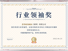  深圳公司注冊代辦代理公司、深圳注冊公司代辦公司菁華集團(tuán)榮譽(yù)獎項(xiàng)：行業(yè)領(lǐng)袖獎、hangyelingxiu
